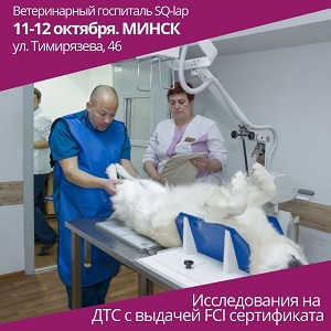 Исследование на дисплазию тазобедренного (HD) и локтевых суставов (ED), а также исследование коленного сустава (Patella Luxation)