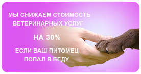 Мы снижаем стоимость ветеринарных услуг на 30% если Ваш питомец попал в беду
