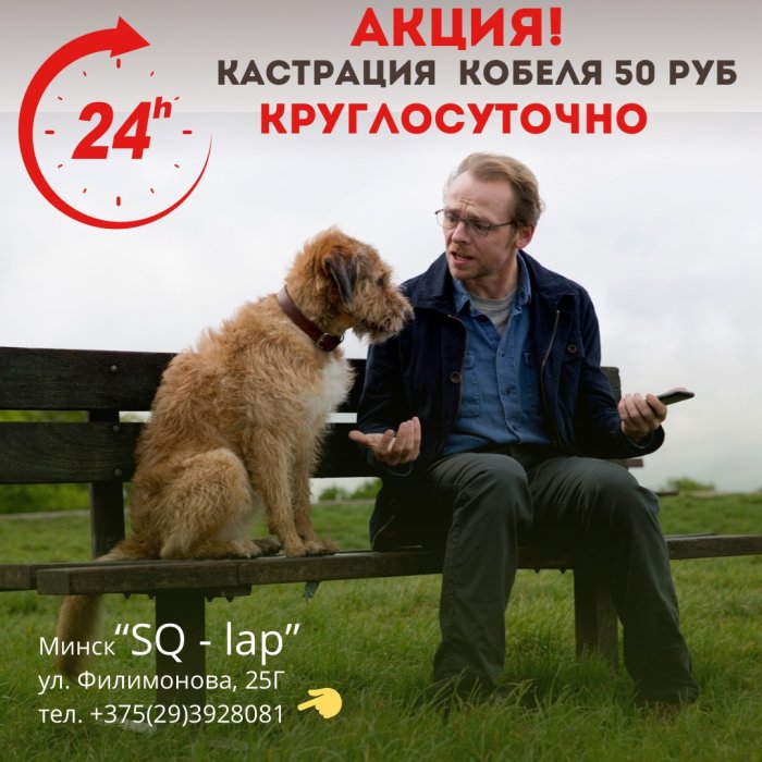 Акция - Свадьбы не будет! Кастрация собак