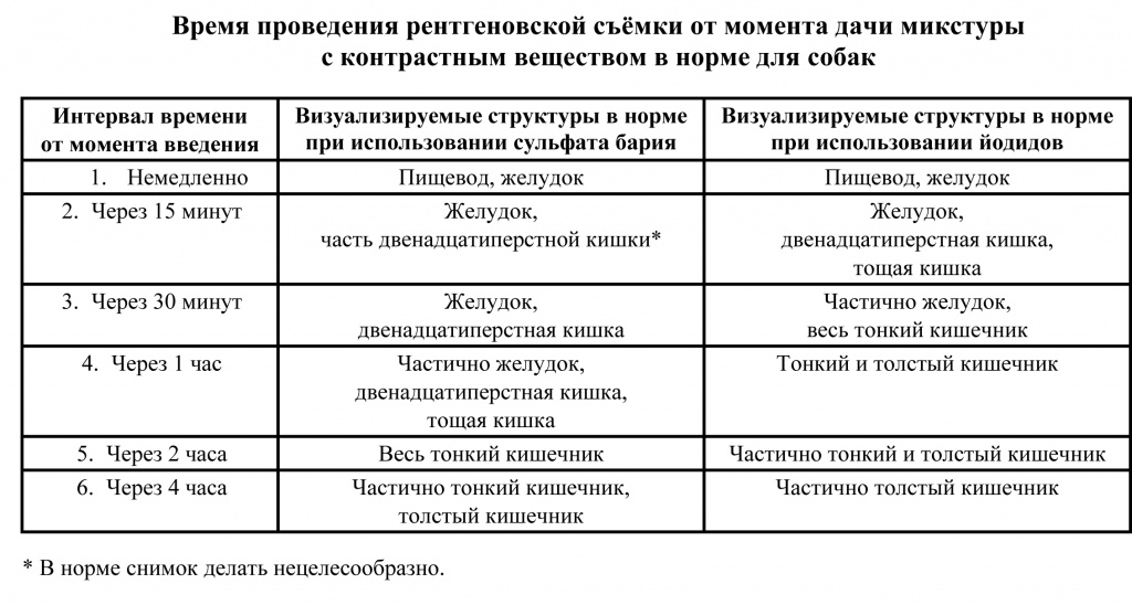 Рентген в Минске для животного