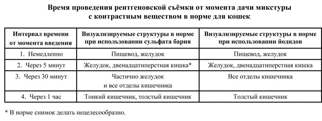Рентген в Минске для животного
