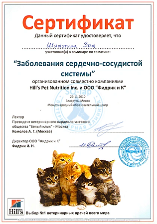 Шляхтина З.В. - Заболевания сердечно-сосудистой системы