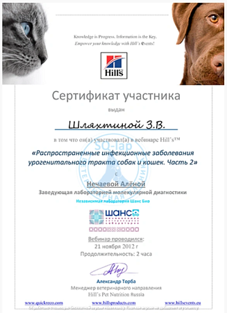 Шляхтина З.В. - Инфекционные заболевания урогенитального тракта. Часть 2