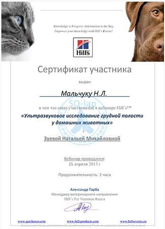 Мальчук Н.Л. - Ультразвуковое исследование грудной полости