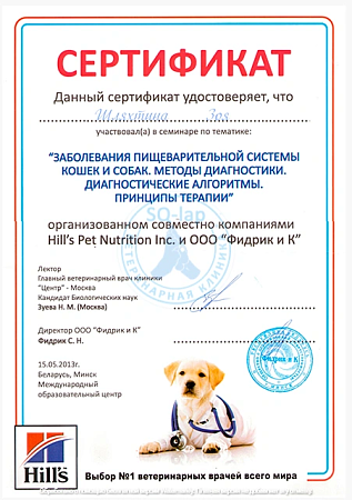 Шляхтина З.В. - Заболевания пищеварительной системы кошек и собак