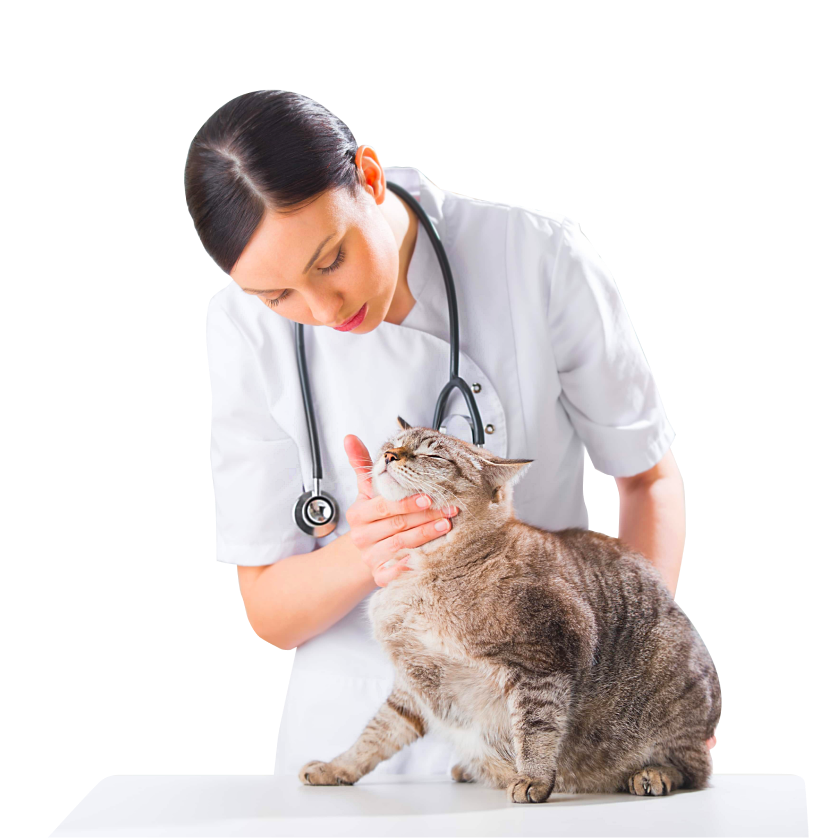 Оставить заявку