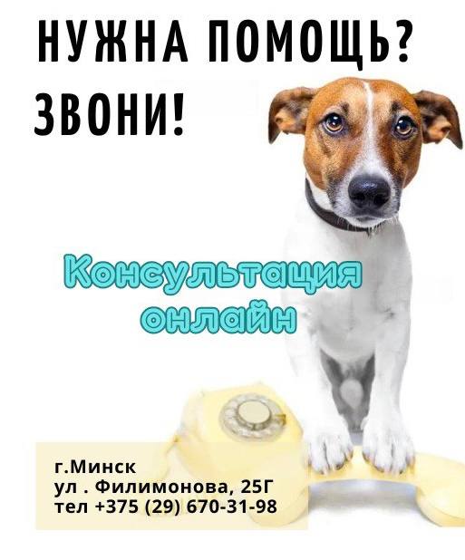 Oнлайн - консультация SQ-lap